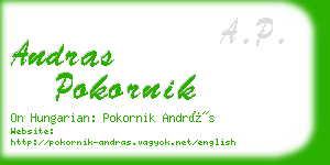 andras pokornik business card